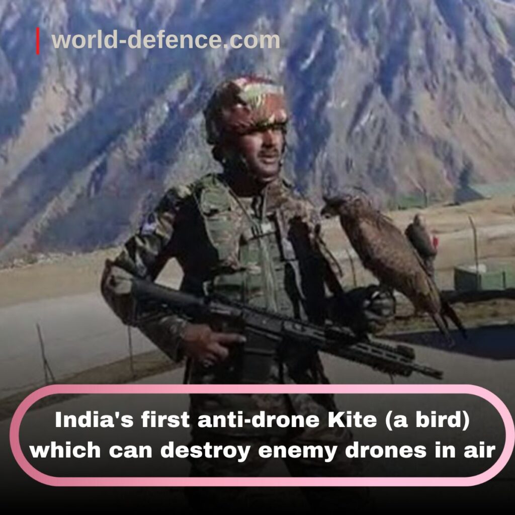 India's first anti-drone Kite (a bird) which can destroy enemy drones in air