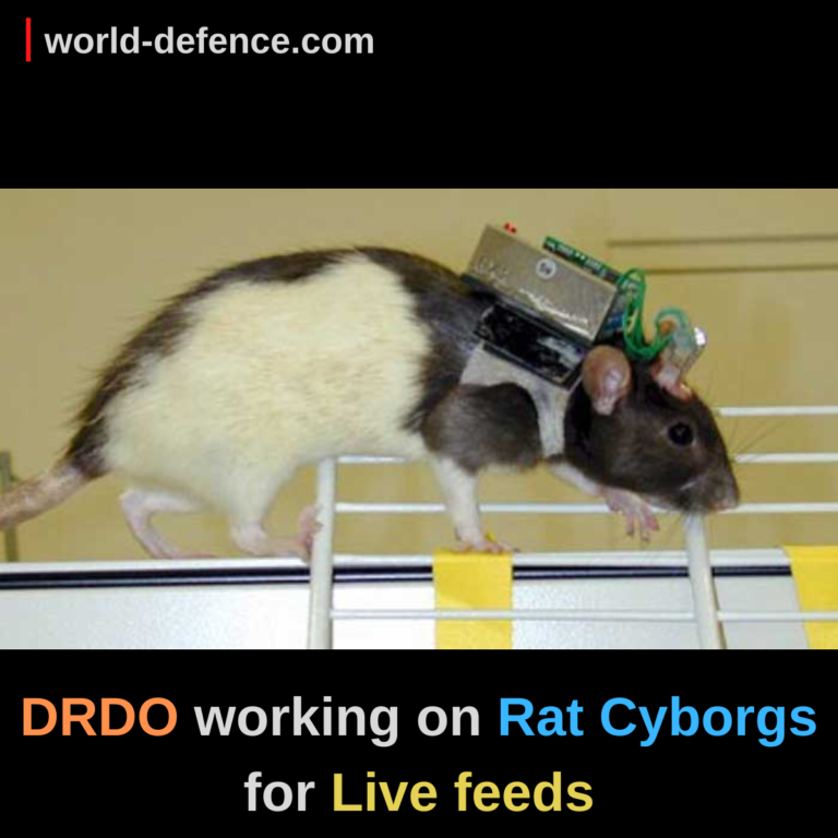 DRDO working on Rat Cyborgs for Live feeds