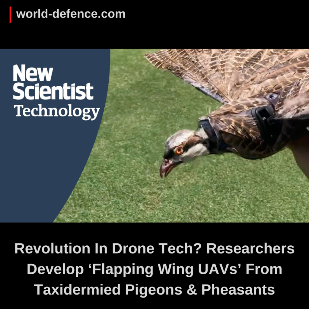 Revolution In Drone Tech Researchers Develop ‘Flapping Wing UAVs’ From Taxidermied Pigeons & Pheasants