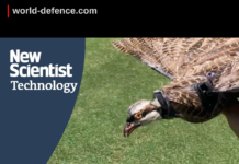 Revolution In Drone Tech Researchers Develop ‘Flapping Wing UAVs’ From Taxidermied Pigeons & Pheasants